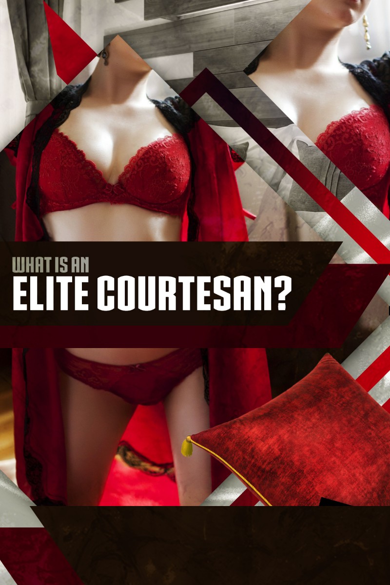 Who is the history of the elite courtesan?
